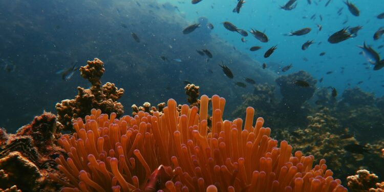 Foto: James Thornton/Unsplash