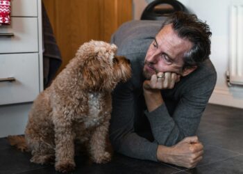 Foto: Charlie Green/Unsplash