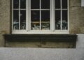 Reprodução: Unsplash