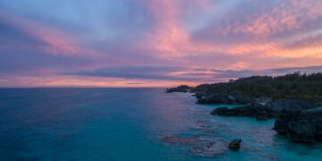 Foto: Brandon Morrison/Pexels