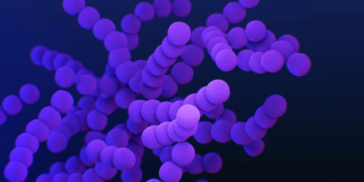 Foto: CDC/Unsplash