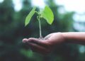Foto: Akil Mazumder/Pexels