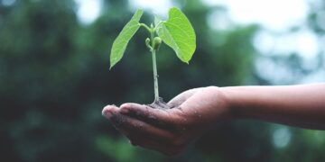 Foto: Akil Mazumder/Pexels