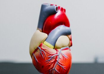 Foto: Kenny Eliason/Unsplash