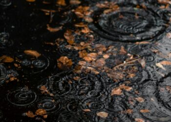 Foto: Idin Ebrahimi/Unsplash
