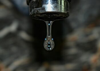 Foto: Mukesh Sharma/Unsplash