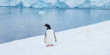 Cientistas revelam segredo que estava escondido debaixo do gelo da Antártida