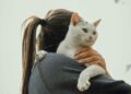 Como criar uma relação mais próxima com seu gato, segundo estudos