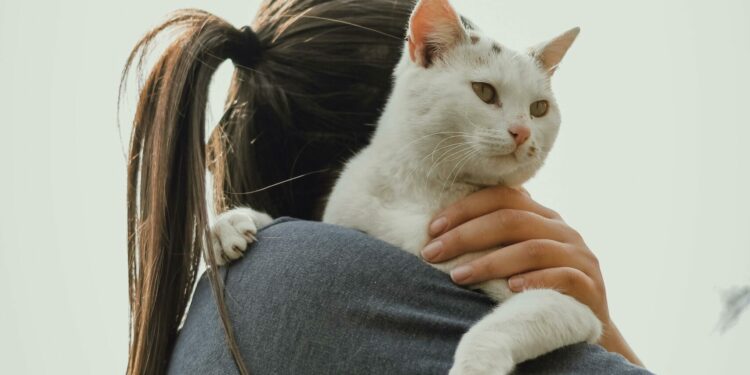 Como criar uma relação mais próxima com seu gato, segundo estudos