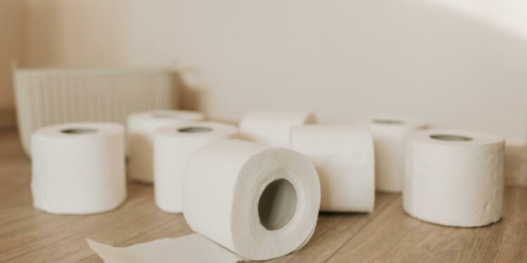 Nova tecnologia promete substituir o papel higiênico nos banheiros do Brasil