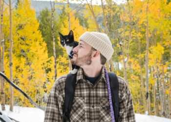 Foto: Chewy/Unsplash