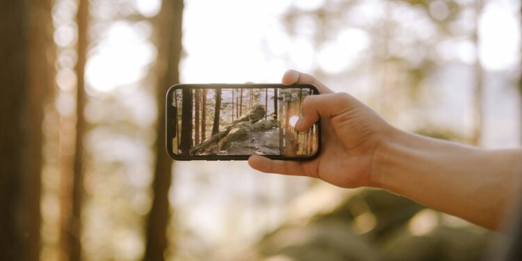Foto: Ciocan Ciprian/Unsplash
