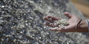 Brasil no centro das atenções globais: encontrada uma das maiores raridades da Terra