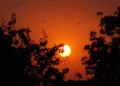 ALERTA: Setembro deve trazer calor sufocante e tempestades em todo o Brasil