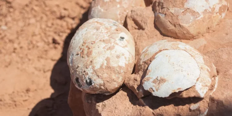 80 milhões de anos depois, os dinossauros voltam a chocar o Brasil