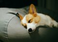 Reprodução: Unsplash