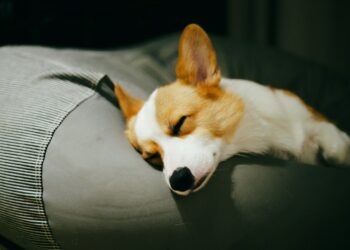 Reprodução: Unsplash
