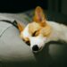 Reprodução: Unsplash