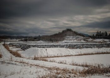 Cientistas desenvolveram uma solução que pode descontaminar o solo de Fukushima e torná-lo seguro novamente 