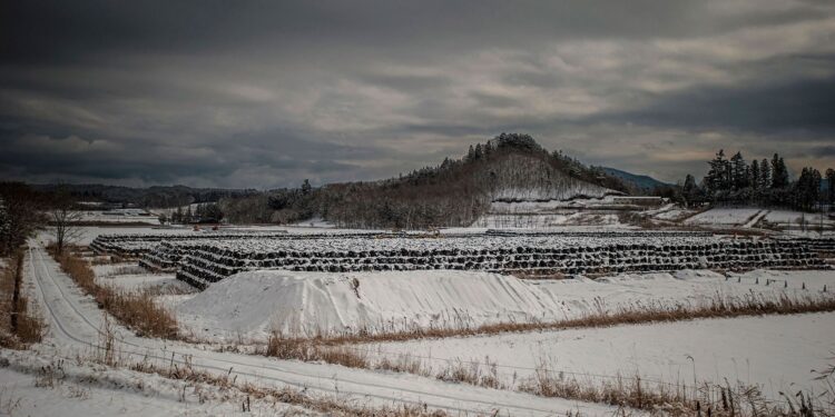 Cientistas desenvolveram uma solução que pode descontaminar o solo de Fukushima e torná-lo seguro novamente 
