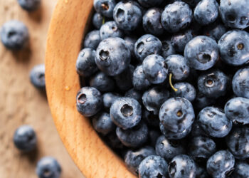 Dar mirtilos para bebês é uma ótima ideia por diversos motivos, segundo novo estudo