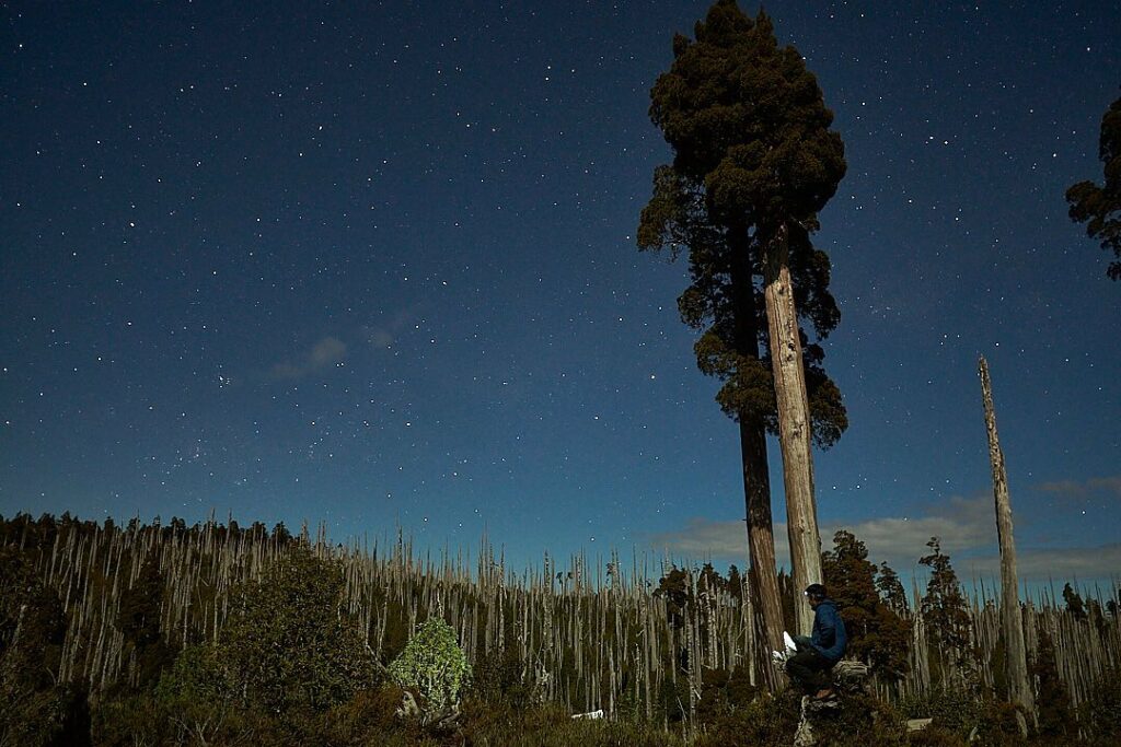 Parque Nacional Alerce Costero no sul do Chile