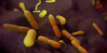Segredo mortal do passado: o que provocou a primeira pandemia da humanidade?