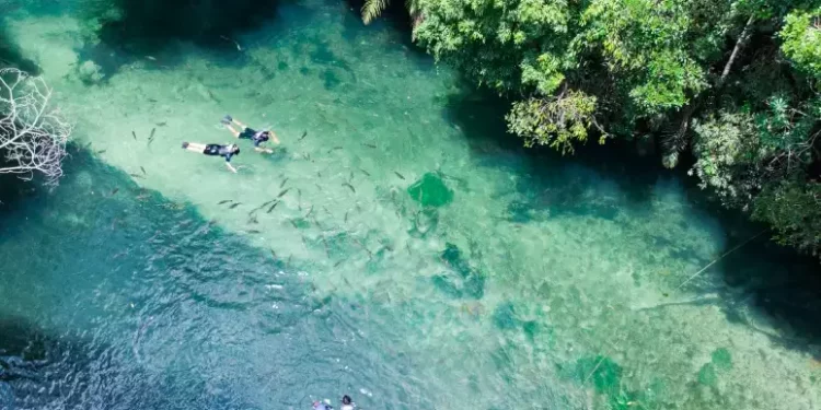 Rio Formoso - Foto: Campo Grande News