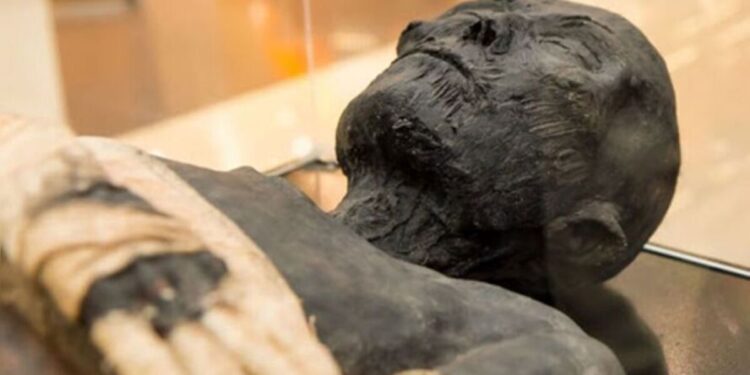 As múmias humanas mais antigas descobertas, e elas não são o que esperávamos