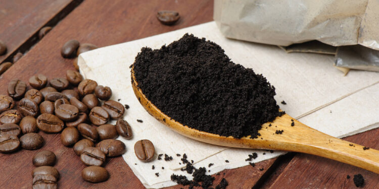 Uma colher já é suficiente: por que cada vez mais pessoas estão colocando borra de café no vaso sanitário?