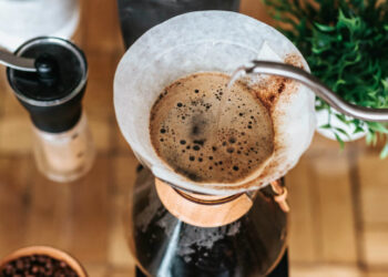 Filtro de café no vaso? Descubra o benefício inesperado para suas plantas