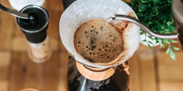 Filtro de café no vaso? Descubra o benefício inesperado para suas plantas