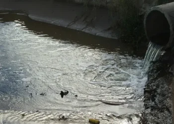 Cientistas fazem descoberta revolucionária enquanto experimentavam água de esgoto de São Paulo