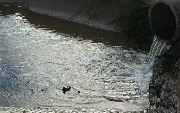 Cientistas fazem descoberta revolucionária enquanto experimentavam água de esgoto de São Paulo