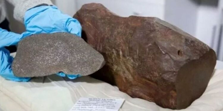 Foto: Museums Victoria (via Mirror)