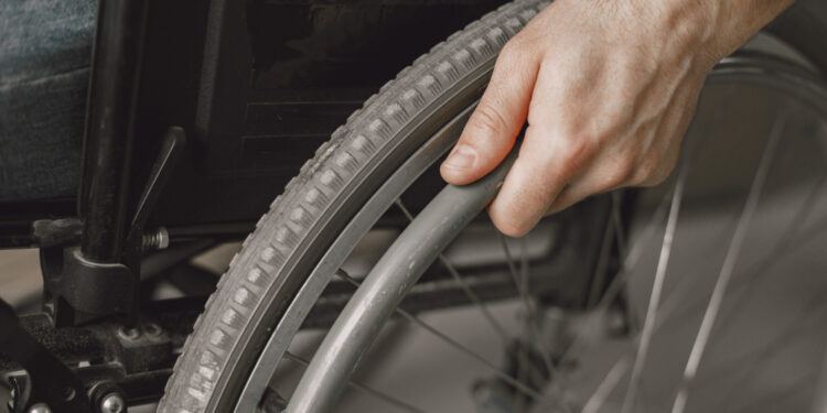 Reprodução: Freepik (prostooleh)