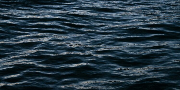 Reprodução: Unsplash (Jeremy Bishop)