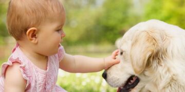 Bebês expostos a cães podem ter menor risco de asma, revela estudo