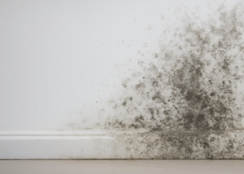 Como tirar o mofo da parede de forma prática e muito simples