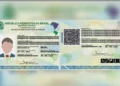 Reprodução: Instituto Geral de Perícias do Rio Grande do Sul