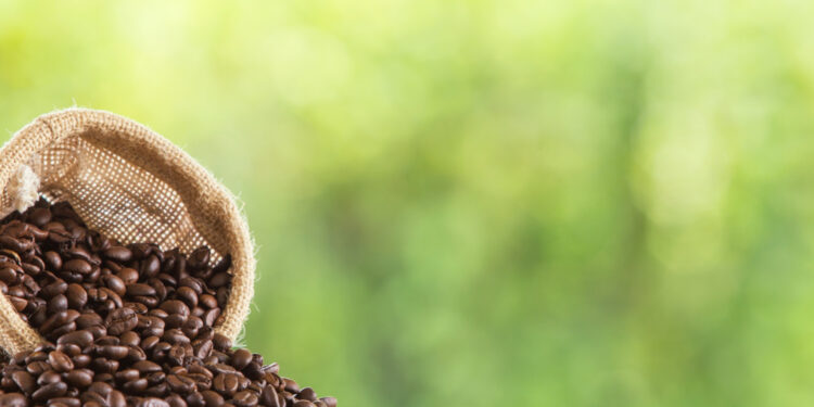 Reprodução: Freepik (jigsawstocker)