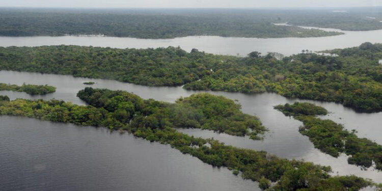 Reprodução: Agência Brasil (Valter Campanato)