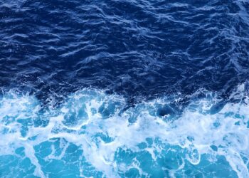 Reprodução: Unsplash (Vinayak Sharma)