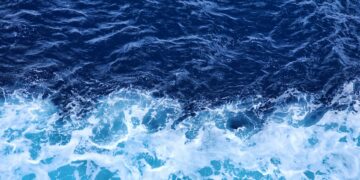 Reprodução: Unsplash (Vinayak Sharma)