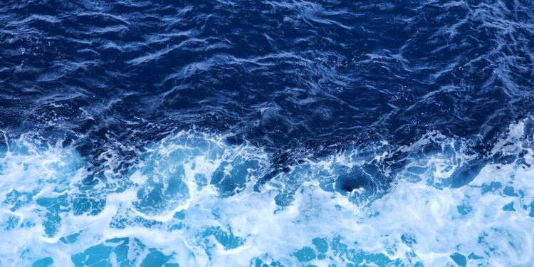 Reprodução: Unsplash (Vinayak Sharma)