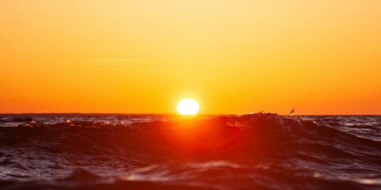 Reprodução: Unsplash (Ilja Tulit)