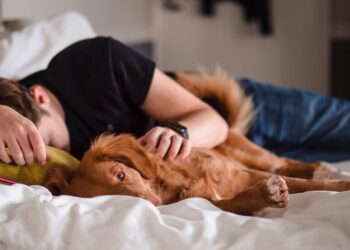 Hábito simples após o almoço pode melhorar a memória, foco e proteger o coração