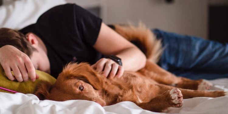 Hábito simples após o almoço pode melhorar a memória, foco e proteger o coração