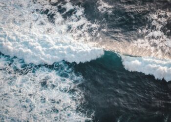 Reprodução: Pexels (Stephane Hurbe)