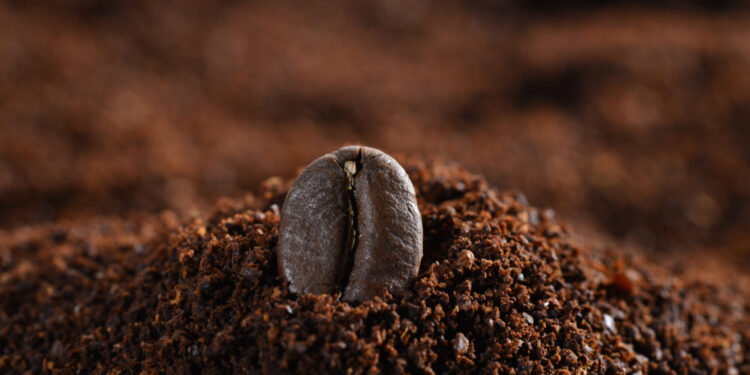 Reprodução: Freepik (onlyyouqj)